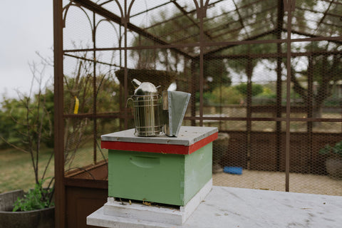 Beginner Beekeeping Essentials List - FREE